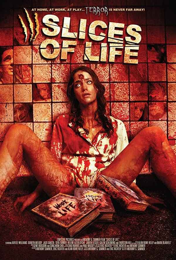 Slices of Life Poster 2