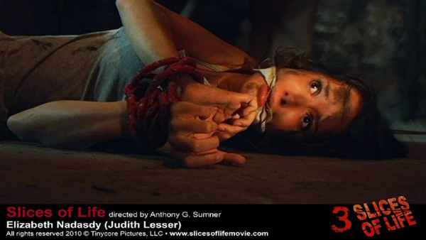 Slices of Life Poster 1