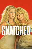 Snatched Poster 6
