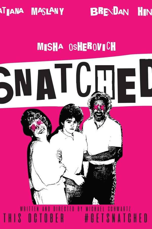 Snatched Poster 3