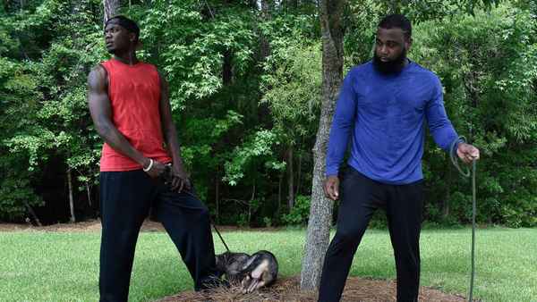 Sneaky Links Poster 1