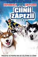Snow Dogs Poster 7