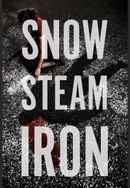 Snow Steam Iron Poster 4