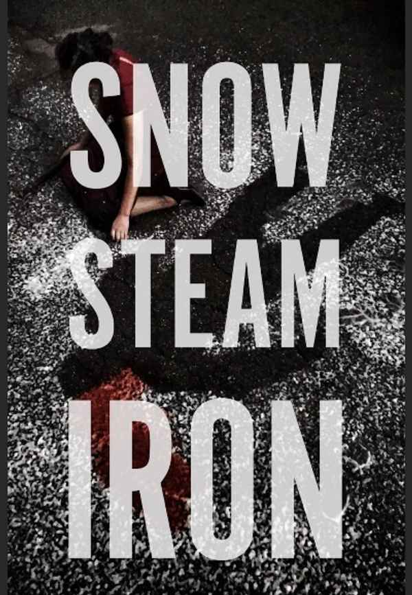 Snow Steam Iron Poster 4