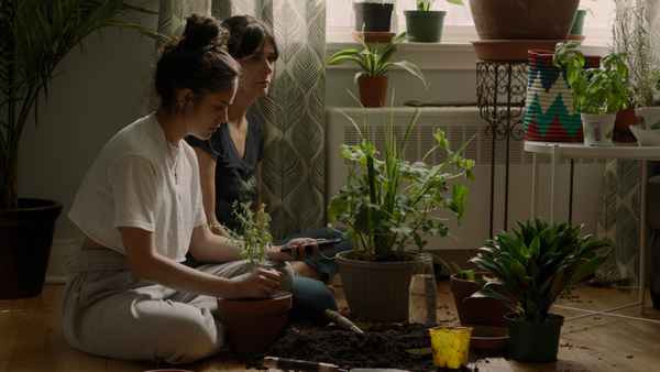 So Much Tenderness Poster 2