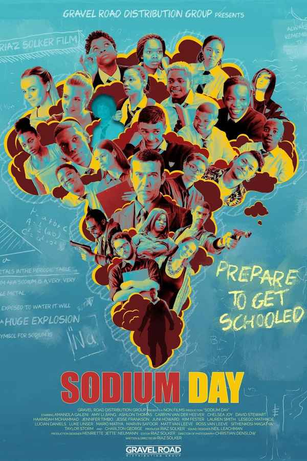 Sodium Day Poster 4