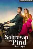 Sohreyan Da Pind Aa Gaya Poster 4