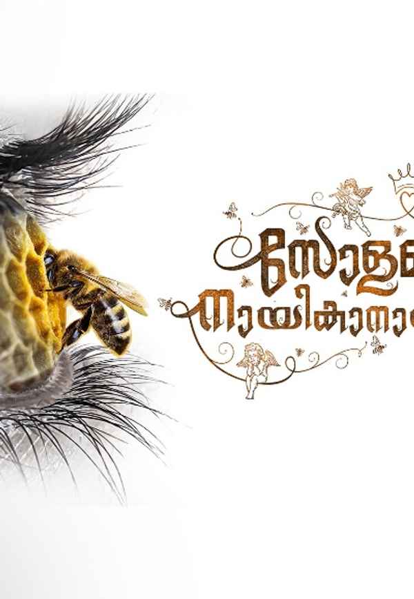 Solomante Nayikanayakanmaar Poster 3