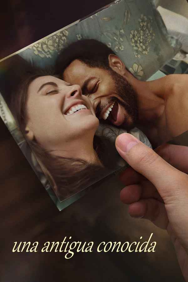 Somebody I Used to Know Poster 7