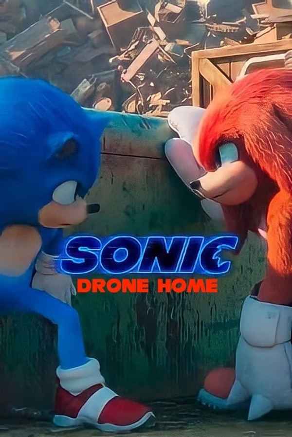 Sonic Drone Home Poster 3