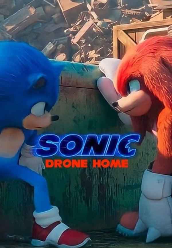 Sonic Drone Home Poster 5