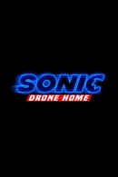 Sonic Drone Home Poster 4