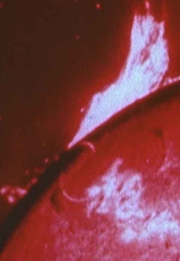 Sonnenstube Poster 5