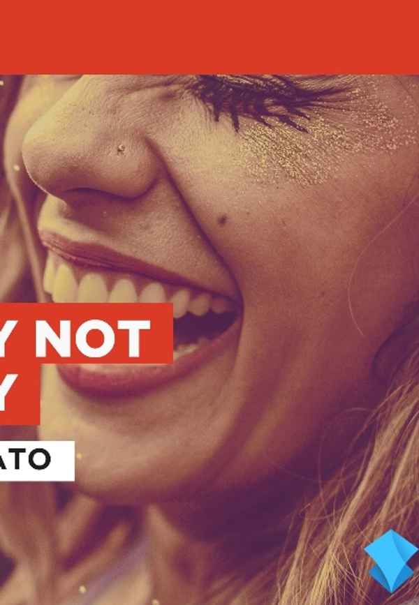 Sorry Not Sorry in the Style of Demi Lovato Poster 2