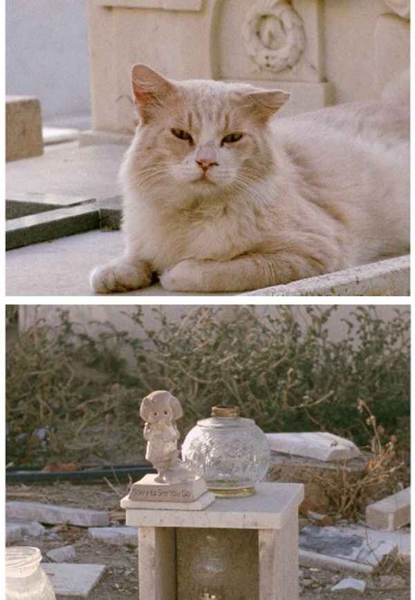 Sorry to See You Go Poster 2