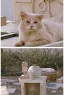 Sorry to See You Go Poster 1