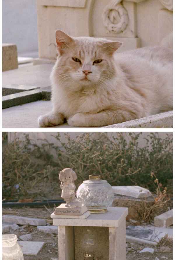 Sorry to See You Go Poster 1