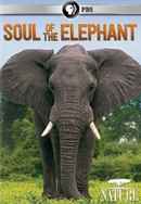 Soul of the Elephant Poster 4
