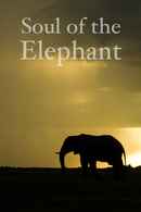 Soul of the Elephant Poster 2
