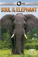 Soul of the Elephant Poster 3