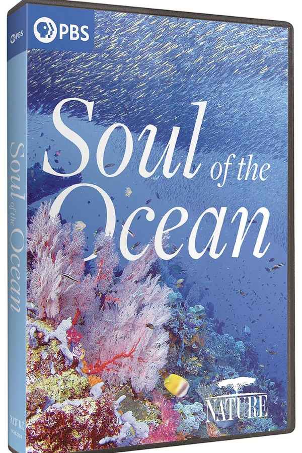 Soul of the Ocean Poster 4