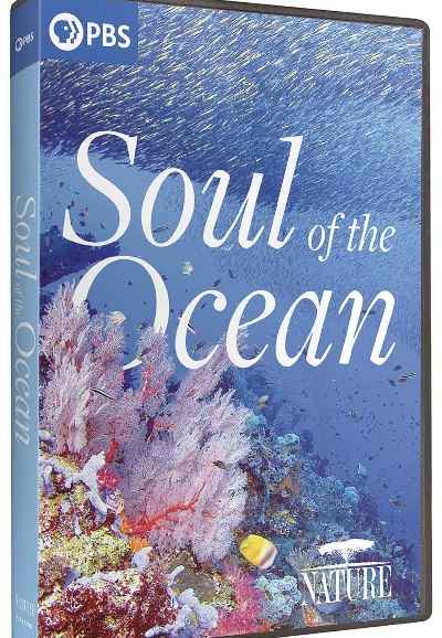 Soul of the Ocean