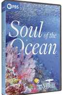 Soul of the Ocean Poster 5