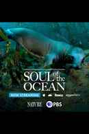 Soul of the Ocean Poster 7