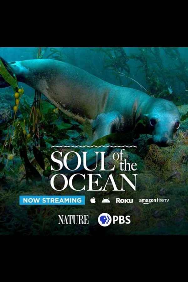 Soul of the Ocean Poster 7