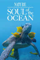 Soul of the Ocean Poster 2