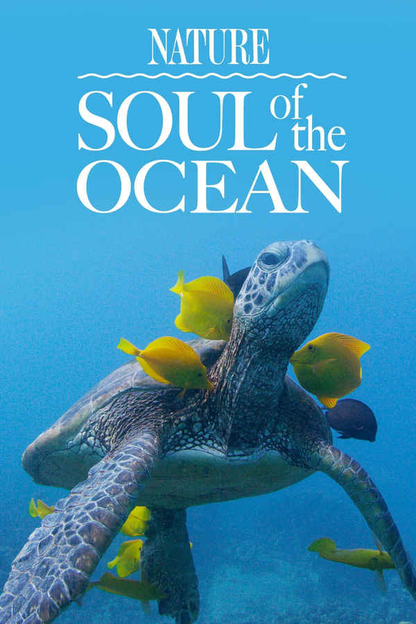 Soul of the Ocean Poster 2