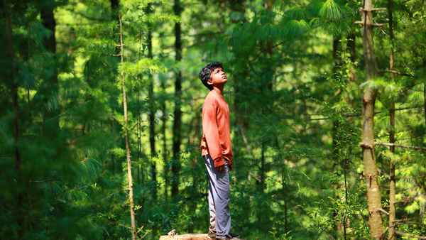 Sound of Silence Poster 1