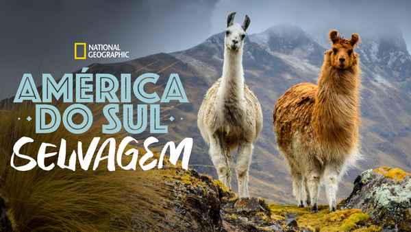 South America: Untamed Poster 7