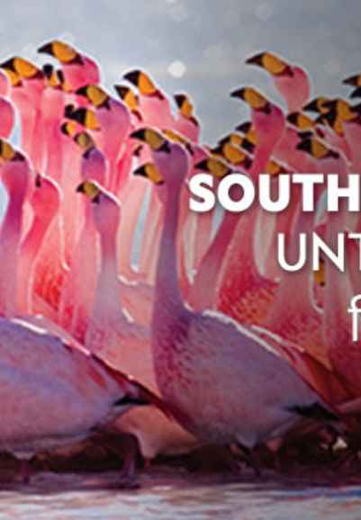South America: Untamed