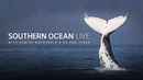 Southern Ocean Live Poster 3