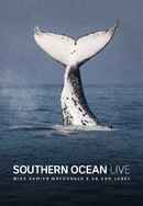 Southern Ocean Live Poster 4