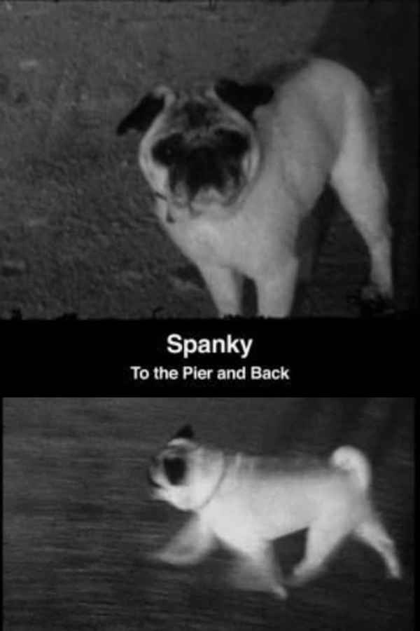 Spanky: To the Pier and Back Poster 2