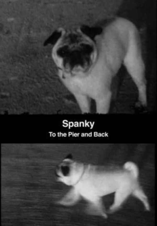 Spanky: To the Pier and Back Poster 4