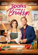 Sparks Over Brooklyn Poster 6
