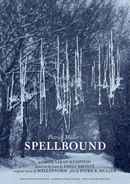 Spellbound Poster 4