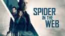 Spider in the Web Poster 4