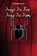 Spider-Man: All Roads Lead to No Way Home Poster 2