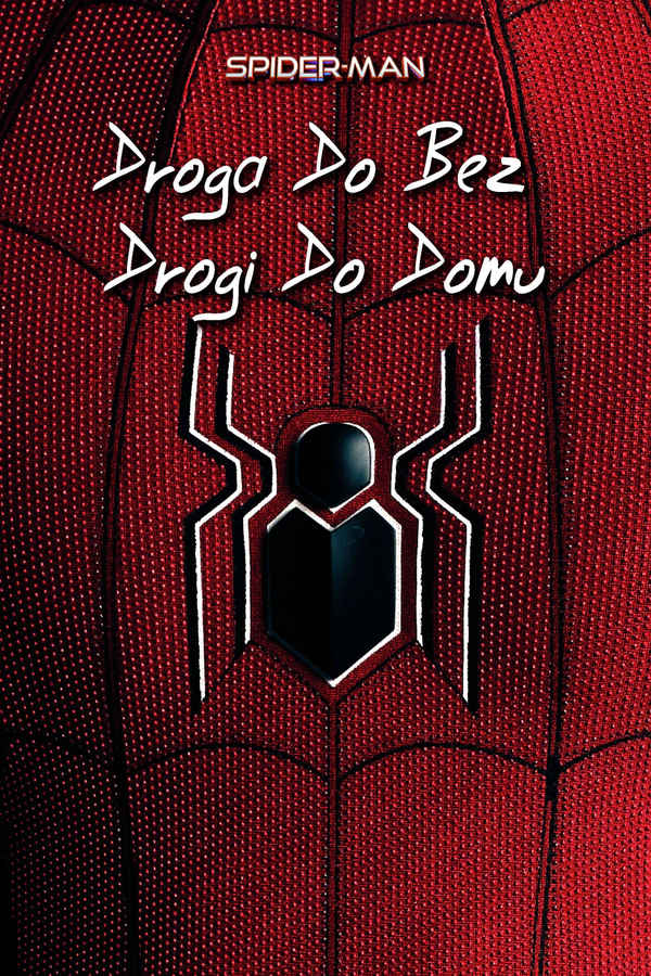 Spider-Man: All Roads Lead to No Way Home Poster 2