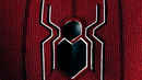 Spider-Man: All Roads Lead to No Way Home Poster 6