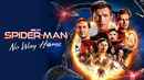 Spider-Man: No Way Home Poster 6