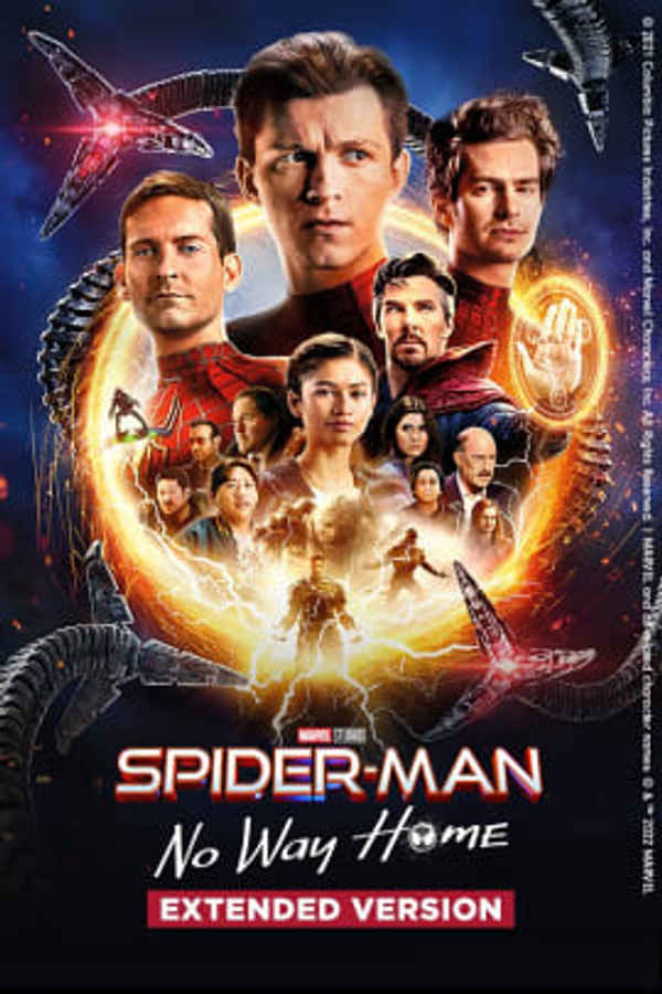 Spider-Man: No Way Home The Extended Version Poster 3