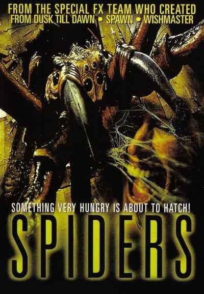 Spiders