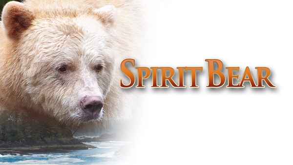 Spirit Bear: The Simon Jackson Story Poster 1