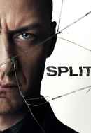 Split Poster 4
