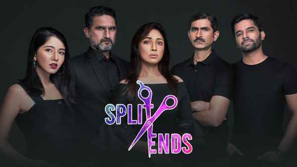 Split Ends Poster 1